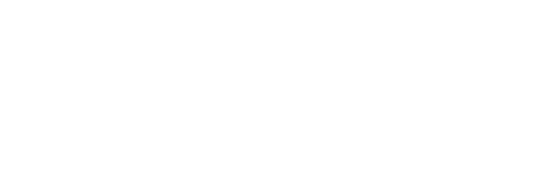 Practitioner Member logo